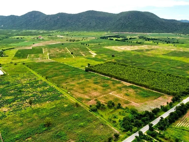 ขายที่ดินในโครงการมอนเต้ อำเภอเลาขวัญ จังหวัดกาญจนบุรี