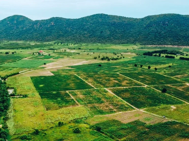 ขายที่ดินในโครงการมอนเต้ อำเภอเลาขวัญ จังหวัดกาญจนบุรี