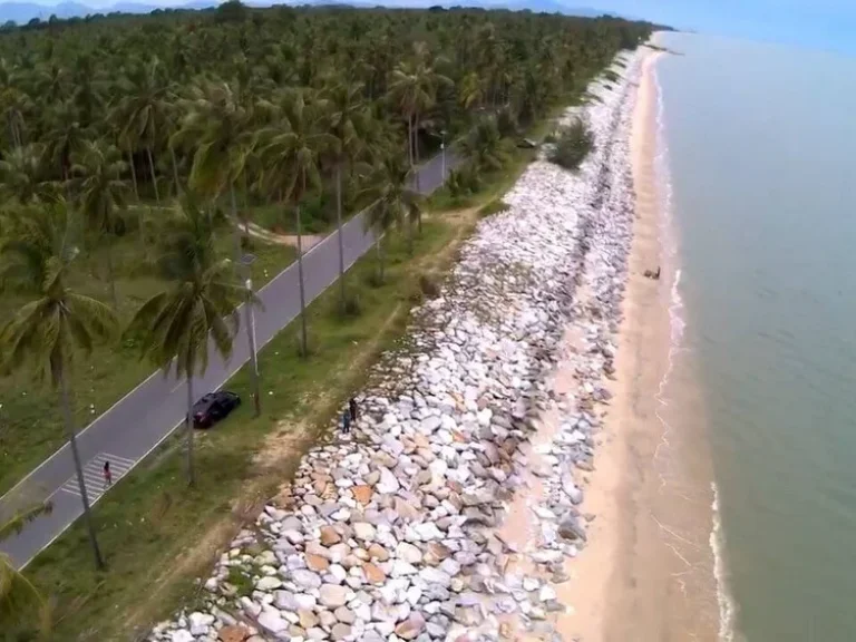 ขายที่ดินเปล่าสวนมะพร้าวติดทะเลหาดทะเลเราะ ใกล้วัดเจดีย์ ไอไข่