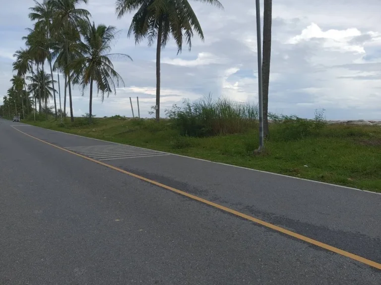 ขายที่ดินเปล่าสวนมะพร้าวติดทะเลหาดทะเลเราะ ใกล้วัดเจดีย์ ไอไข่