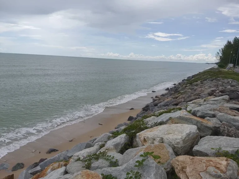 ขายที่ดินเปล่าสวนมะพร้าวติดทะเลหาดทะเลเราะ ใกล้วัดเจดีย์ ไอไข่