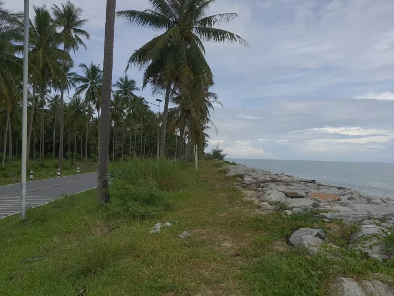 ขายที่ดินเปล่าสวนมะพร้าวติดทะเลหาดทะเลเราะ ใกล้วัดเจดีย์ ไอไข่