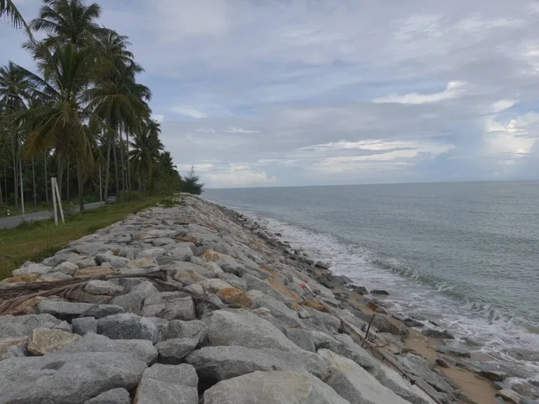 ขายที่ดินเปล่าสวนมะพร้าวติดทะเลหาดทะเลเราะ ใกล้วัดเจดีย์ ไอไข่