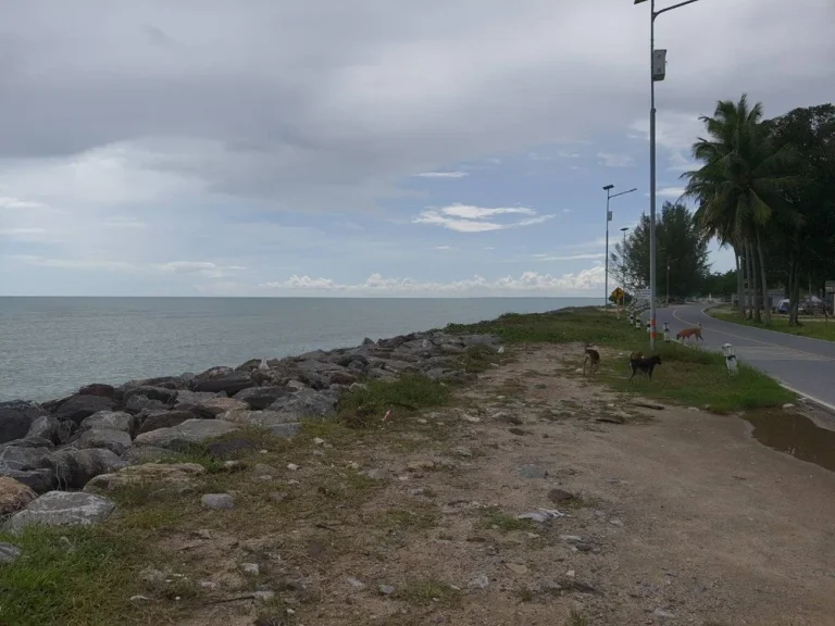 ขายที่ดินเปล่าสวนมะพร้าวติดทะเลหาดทะเลเราะ ใกล้วัดเจดีย์ ไอไข่