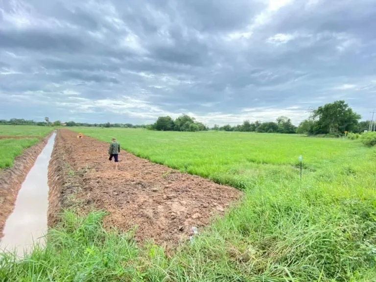 ขายที่ดิน10 ไร่ ติดถนนดำ หลังศูนย์ราชการใหม่จังหวัดอุทัยธานี