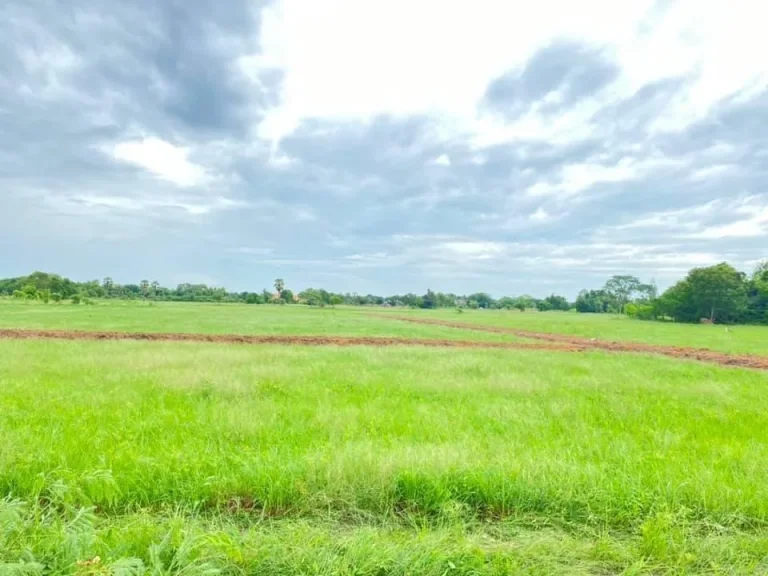 ขายที่ดิน10 ไร่ ติดถนนดำ หลังศูนย์ราชการใหม่จังหวัดอุทัยธานี