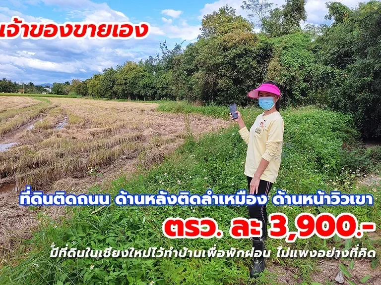 ขายที่ดินเชียงใหม่ ตรวละ 3900- ติดถนน หลังติดลำเหมือง หน้าวิวเขา 35 ไร่ แบ่งได้