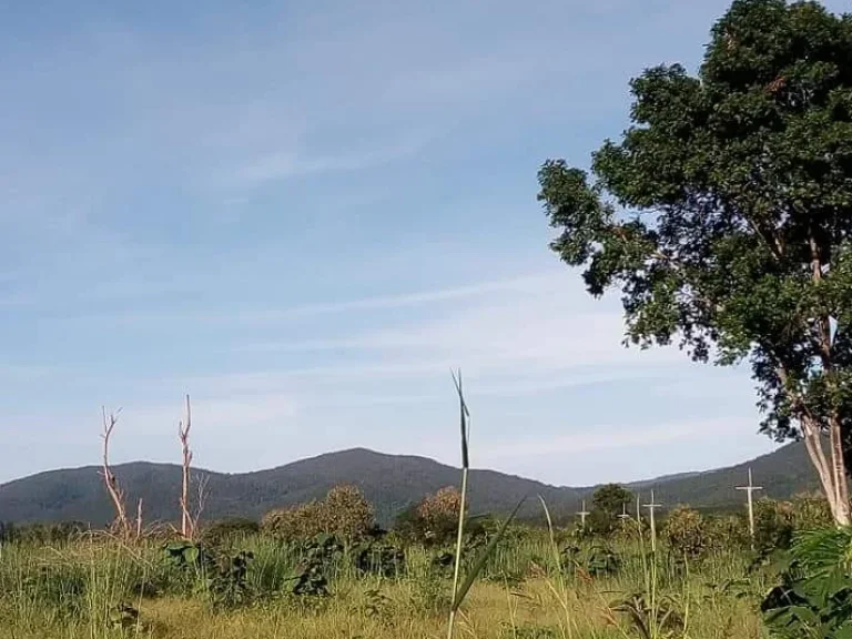 ที่ดินเปล่าสี่เหลี่ยม กลางเนิน วิวสวย ติดถนนสายหลัก อุตรดิตถ์