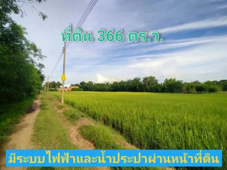 ขายถูก ที่ดิน 366 ตารางวา ใกล้ถนน340 เหมาะสร้างบ้านสวน ตราษฎร์นิยม อไทรน้อย จนนทบุรี