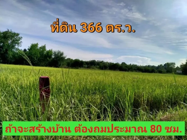 ขายถูก ที่ดิน 366 ตารางวา ใกล้ถนน340 เหมาะสร้างบ้านสวน ตราษฎร์นิยม อไทรน้อย จนนทบุรี