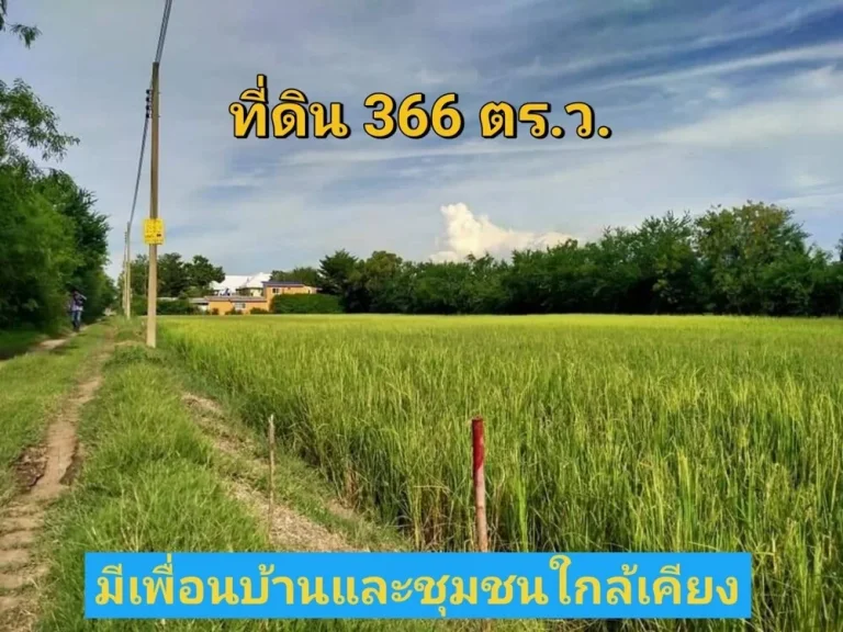 ขายถูก ที่ดิน 366 ตารางวา ใกล้ถนน340 เหมาะสร้างบ้านสวน ตราษฎร์นิยม อไทรน้อย จนนทบุรี