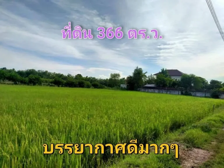 ขายถูก ที่ดิน 366 ตารางวา ใกล้ถนน340 เหมาะสร้างบ้านสวน ตราษฎร์นิยม อไทรน้อย จนนทบุรี