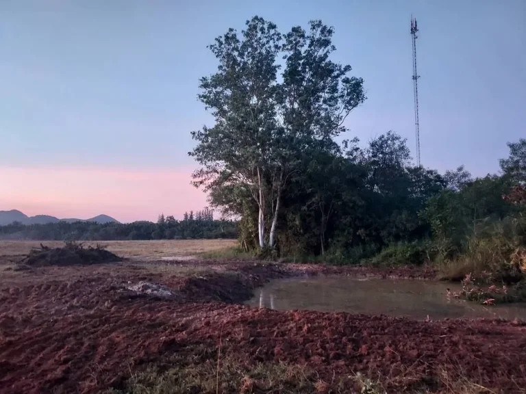 ที่ดินแบ่งขาย วิวเขากระปุก โครงการชั่งหัวมัน อท่ายาง เพชรบุรี