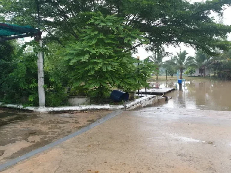 ขายที่ดิน อัมพวา ติดคลองประชาชื่น ถนนพระราม 2 อเมืองสมุทรสงคราม จสมุทรสงคราม