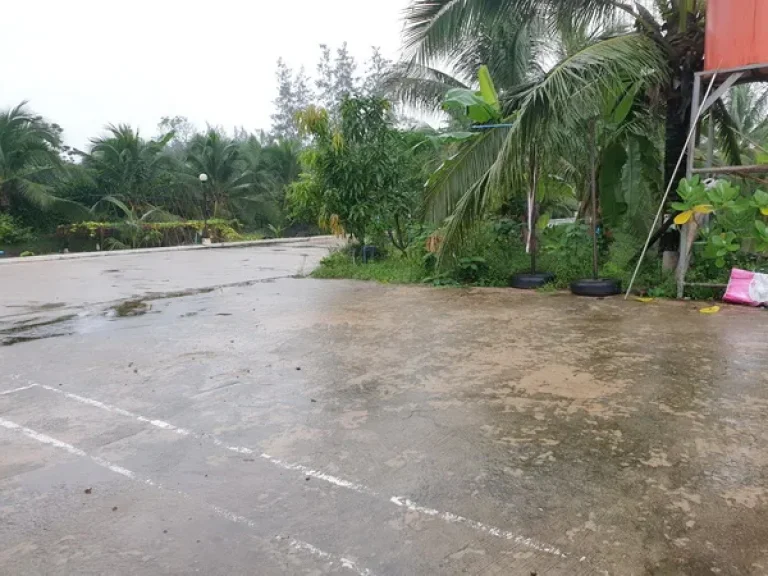 ขายที่ดิน อัมพวา ติดคลองประชาชื่น ถนนพระราม 2 อเมืองสมุทรสงคราม จสมุทรสงคราม