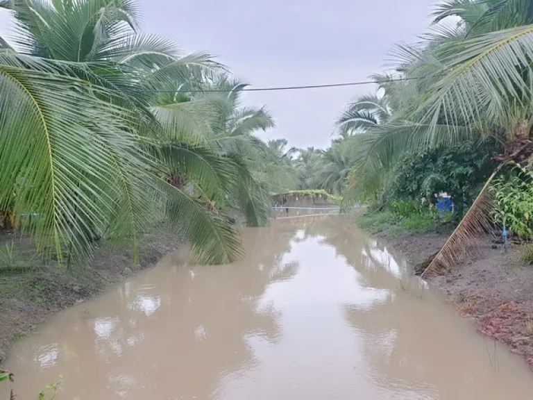 ขายที่ดิน อัมพวา ติดคลองประชาชื่น ถนนพระราม 2 อเมืองสมุทรสงคราม จสมุทรสงคราม