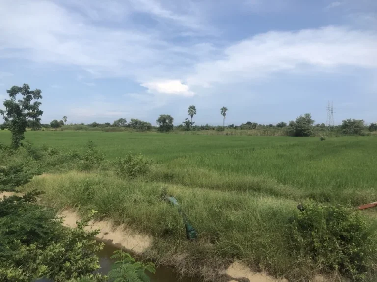 ขาย ที่ดิน 4 ไร่ 2 งาน 94 ตรว วิวเขานางพันธุรัตน์ ใกล้หาดชะอำ