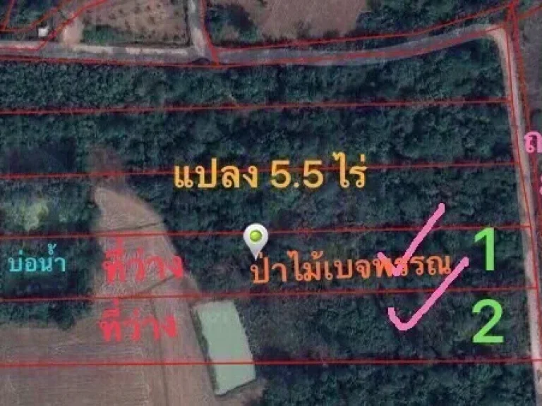 ขายที่ดินแถมป่าไม้ต้นใหญ่ 5 ไร่2 งาน เจ้าของขายเอง ราคาถูก อจอมบึง ราชบุรี