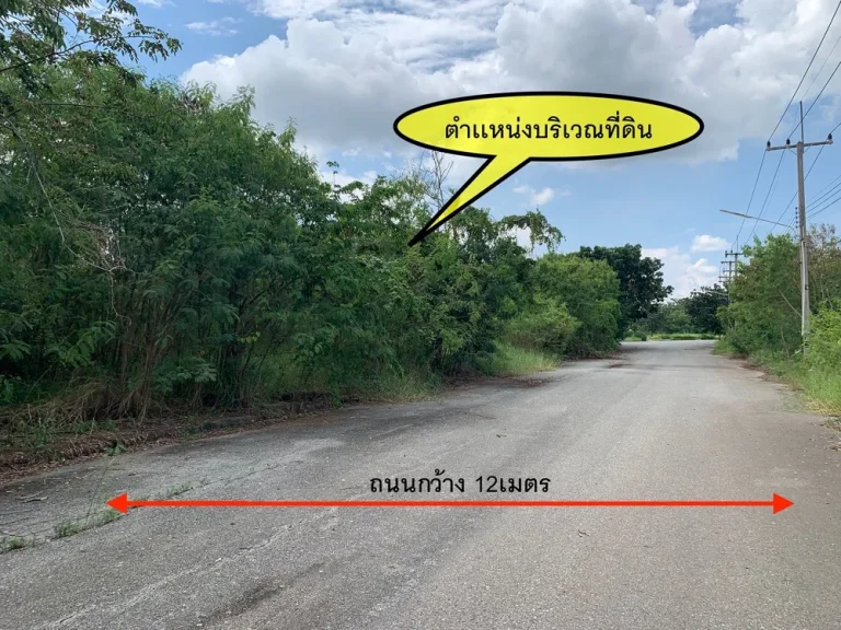 ขาย ที่ดินเปล่า ในโครงการวิจิตราธานี บางนา กม 36 ต้นโครงการ 224ตรว