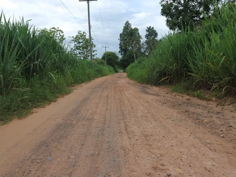 ขายที่ดินป่าไผ่ สันทราย เชียงใหม่ สวยมาก ใกล้สถานที่ชุมชน