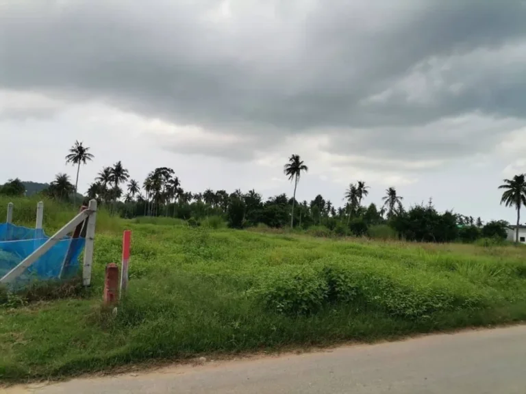 ขายที่ดินใกล้สนามบินอู่ตะเภา พลูตาหลวง สัตหีบ เจ้าของขายเอง