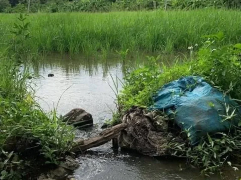 ขายที่ดินติดถนนแม่ฮ้อยเงินดอยสะเก็ต ติดลำเหมือง โฉนดพร้อมโอน