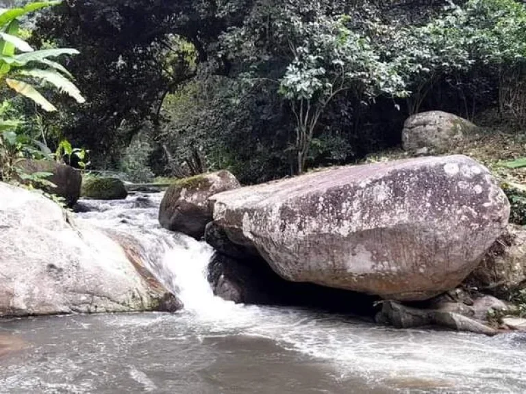 ขายที่ดินติดธารน้ำ เทพเสด็จ ติดถนนลาดยางเอกสารสิทธิ์