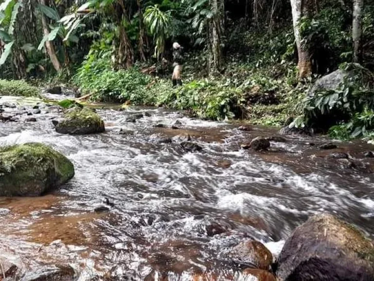 ขายที่ดินติดธารน้ำ เทพเสด็จ ติดถนนลาดยางเอกสารสิทธิ์