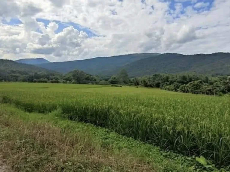 ที่ดินวิวเขาสวย ติดน้ำแม่กลาง อจอมทอง จังหวัดเชียงใหม่