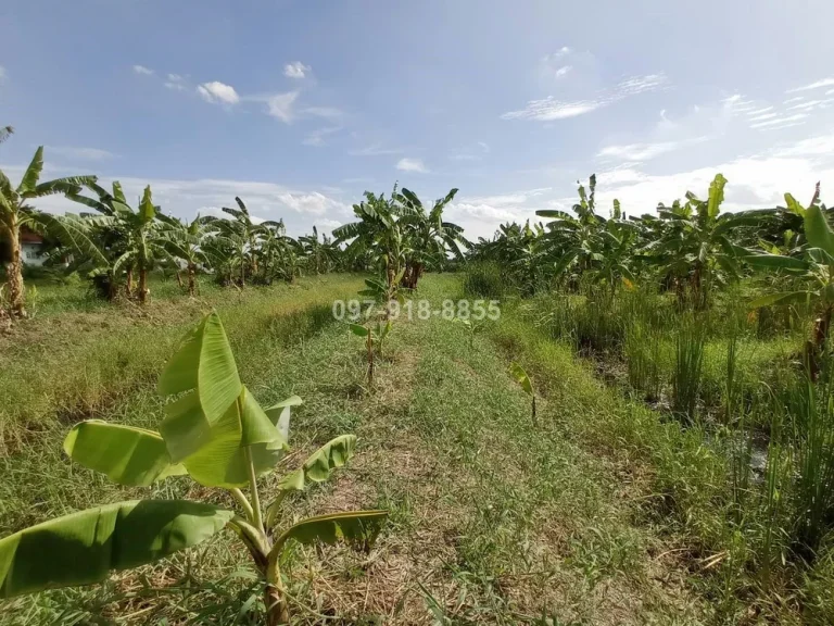 ขายที่ดิน ทำเลทอง 7 ไร่ครึ่ง ติดถนนบางกรวย-ไทรน้อย ใกล้แม็คโครบางบัวทอง