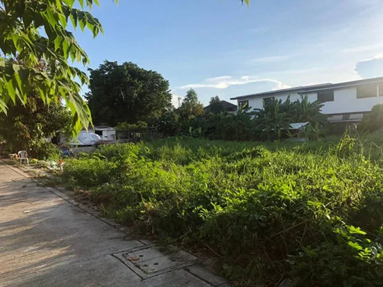 ขายที่ดิน ใกล้โรงเรียนบางกอกพัฒนา เหมาะสร้างบ้าน Land for sale Near Bangkok Pattana School