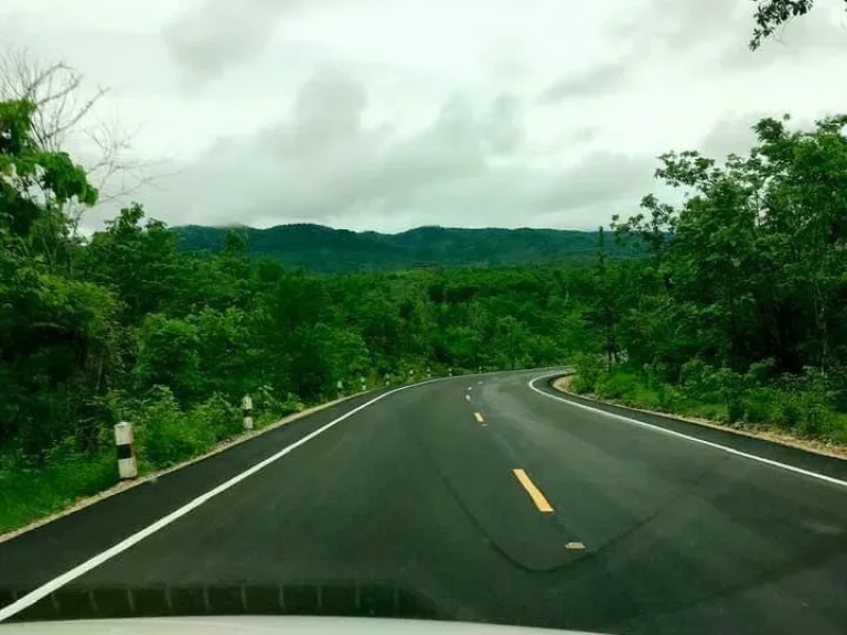 ขายที่ดินสวย หลังที่ดินมีลำธารเล็กๆ หน้าฝนมีน้ำไหลผ่าน บ้านจากเหนือ อแม่เมาะ จลำปาง