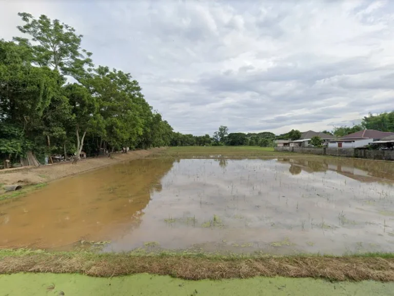 ขายที่นาเมืองเชียงราย 5 ไร่ ใกล้ถนนเส้นพหลโยธิน 1 - 800 เมตร จเชียงราย