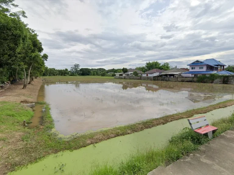 ขายที่นาเมืองเชียงราย 5 ไร่ ใกล้ถนนเส้นพหลโยธิน 1 - 800 เมตร จเชียงราย