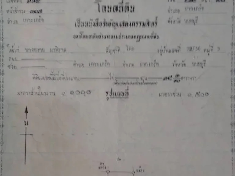 หนีฝุ่นมาดูดอากาศบริสุทธิ์เกาะเกร็ด ขายที่ดินถูก ใกล้รีสอร์ส สตูดิโอท่าเรือช่วงนี้ลดพิเศษ ขาย ๗๕๐๐๐๐ บ