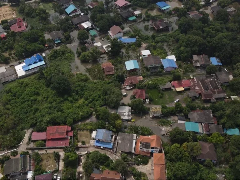 ขาย ที่ดินสวย พร้อมบ้าน ติดแม่น้ำป่าสัก 4 ไร่ อำเภอนครหลวง อยุธยา