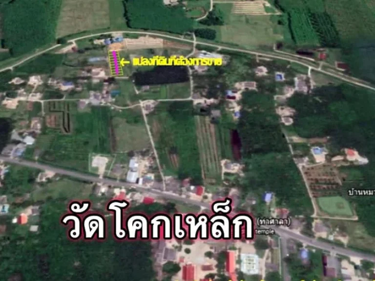 ขายที่ดิน 9 แปลง475ตรว290000บาท ตไทยบุรี อท่าศาลา จนครศรีธรรมราช