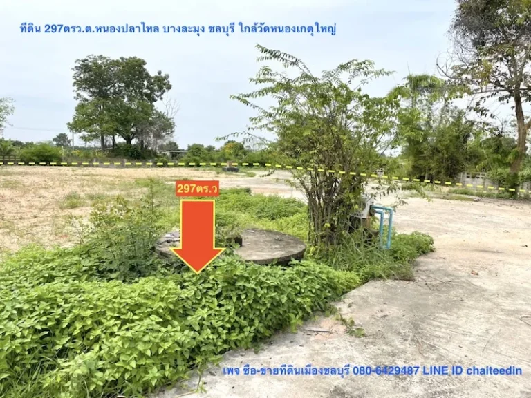 ขายที่ดินหนองปลาไหล ใกล้วัดหนองเกตุใหญ่ เนื้อที่ 297ตรวเหมาะปลูกบ้านพักอาศัย