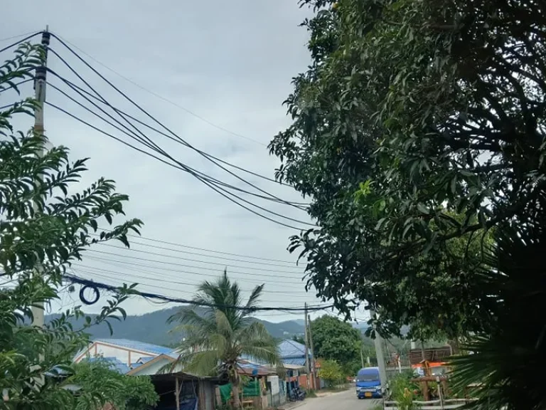 ขายที่ดินบนเกาะสมุย 4ไร่ใกล้หาดเฉวงและสนามบิน5นาทีซีวิวที่ราบ