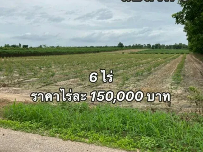 ขายที่ดินราคาถูกติดทางสาธารณะ ในอำเภอเมือง จังหวัดกำแพงเพชร