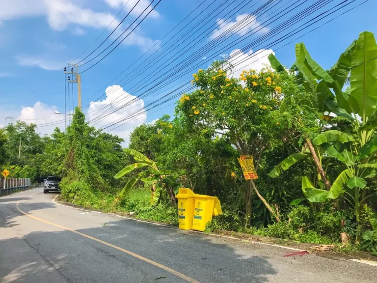 ขายที่ดินไทรม้า 100 ตรว ตไทรม้า อเมืองนนทบุรี จนนทบุรี