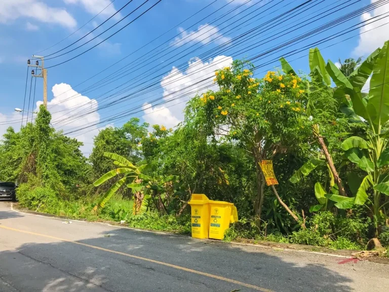 ขายที่ดินไทรม้า 100 ตรว ตไทรม้า อเมืองนนทบุรี จนนทบุรี