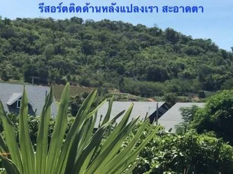 ที่ดินหัวหิน ปราณบุรี ใกล้ทะเลเขาเต่าหัวหินเพียง 37 กิโล ผ่อนได้ วิวเขารอบ