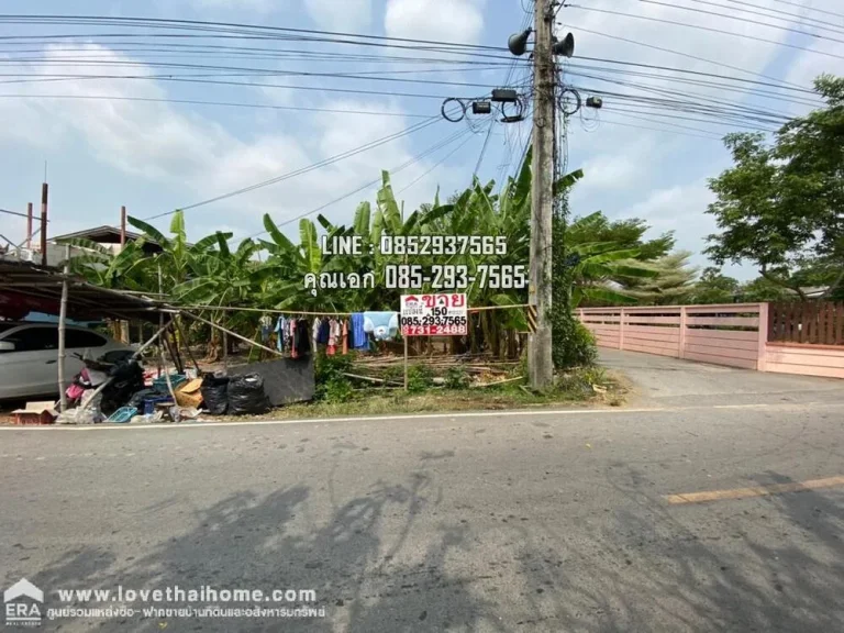 ขายที่ดินเปล่า ซอยเจริญสุข คลองห้า รังสิต คลองหลวง พื้นที่150ตรว แปลงมุม ติดถนน2ด้าน ใกล้เทคโนธานี