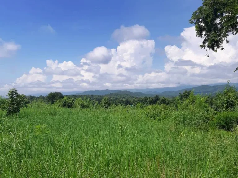 ขายที่ดินเปล่า มีโฉนด อำเภอเมือง จังหวัดเพชรบูรณ์ เนื้อที่ 5 ไร่ 1งาน