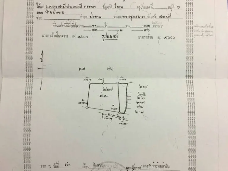 ขายที่ดินซอยชนิภารีสอร์ทติดกับไฮโซรีสอร์ท10 ไร่ 2 งานขายต่ำกว่าราคาประเมิน