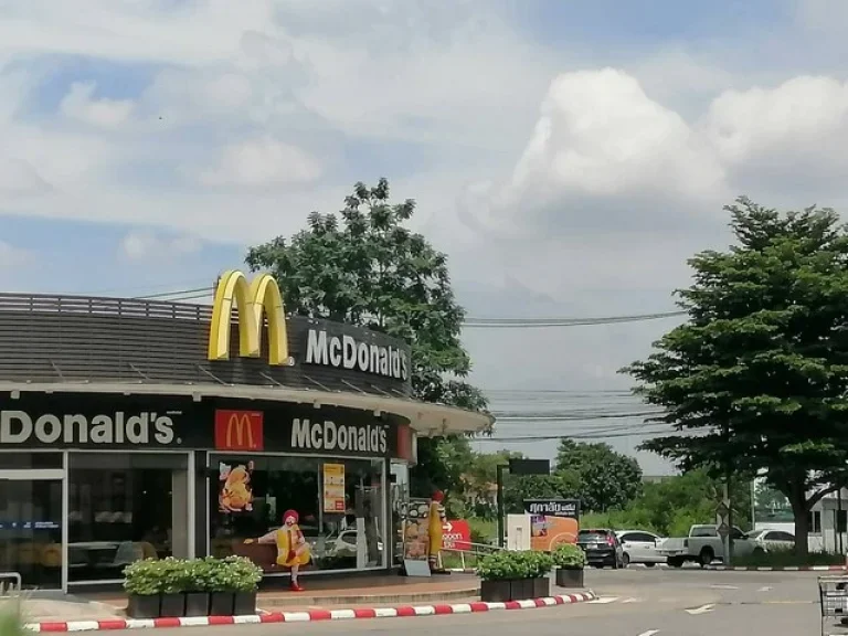 ขายที่ดิน 100-200 วา ถนนสุขาภิบาล 5 ซอย 40 ใกล้ทางด่วนฉลองรัช วัชพล-สุขาภิบาล เขตบางเขน กรุงเทพ