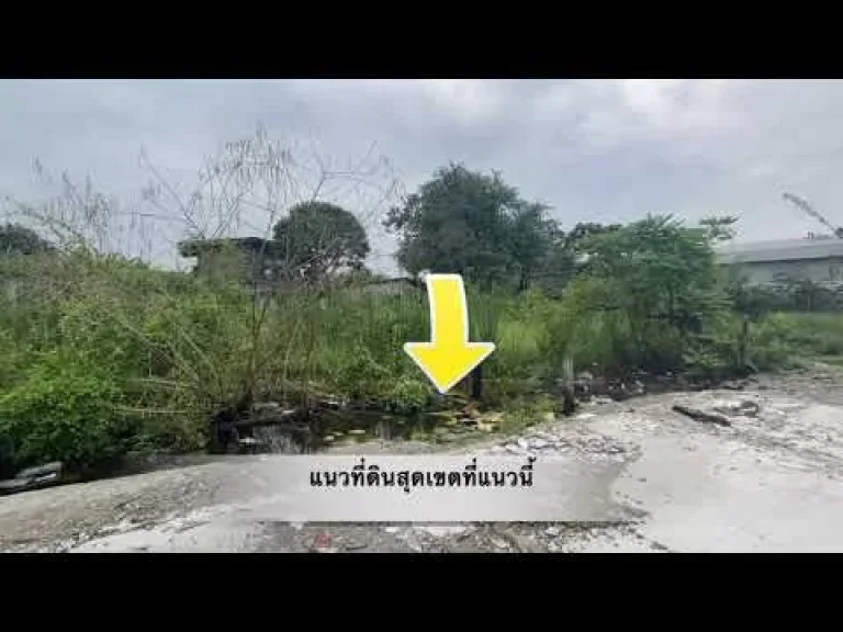 ขายที่ดิน 200 ตรว ถพัฒนาชนบท 3 ซอยรุ่งเรือง2 ใกล้ถนน ศรีนครินทร์-ร่มเกล้าตัดใหม่ ขายถูกมากๆๆๆ