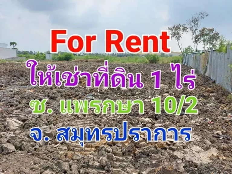 For Rent ให้เช่าที่ดินเปล่าถมแล้ว เนื้อที่ 1 ไร่ ซอยแพรกษา 102