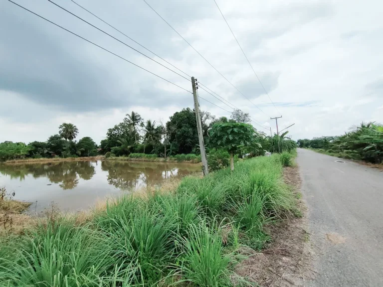 ขาย ที่ดิน ฉะเชิงเทรา บางน้ำเปรี้ยว 16-2-67 - ติดคลองบ้านใหม่ ติดถนนเรียบทางรถไฟ ซอยบางขวัญ 17